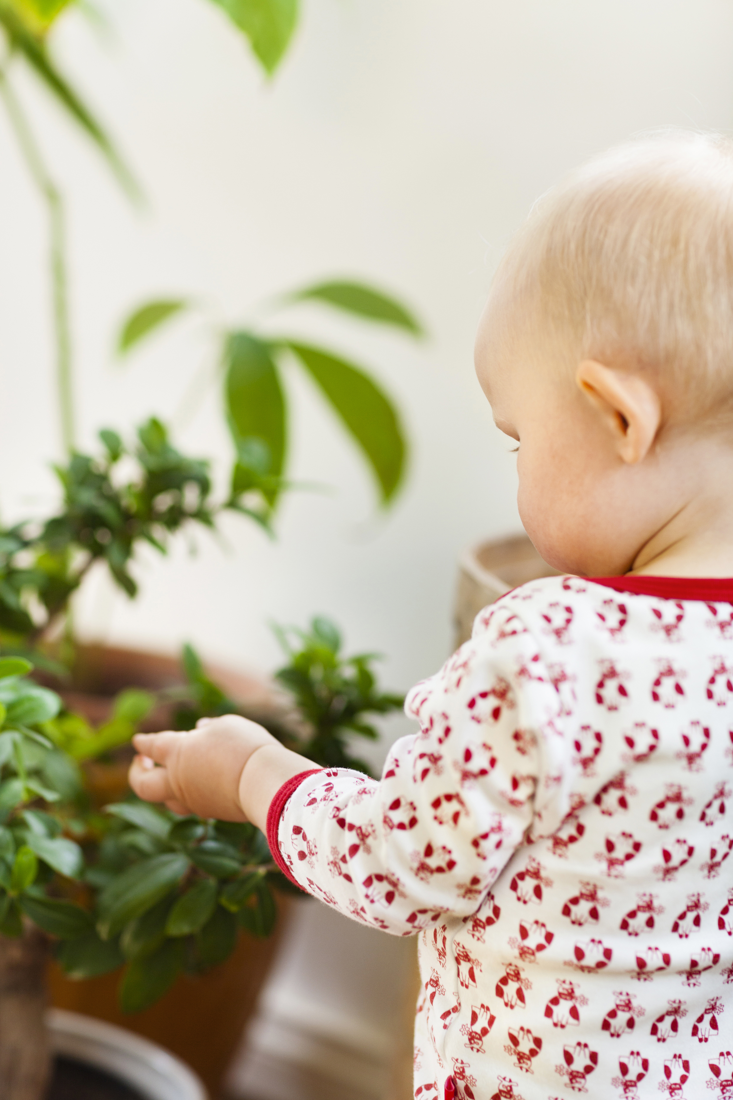 Ett litet barn står och pillar på en krukväxt. 