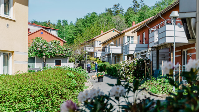 Ett lummigt somrigt bostadsområde med hus i tvåplan med balkong.