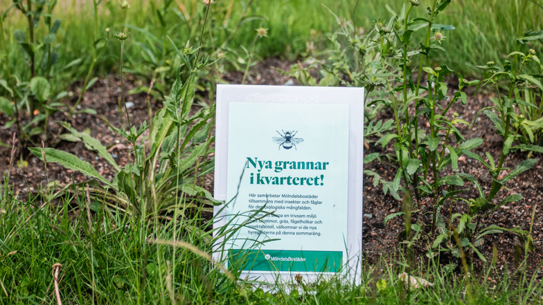 Blomsteräng med en en skylt med texten Nya grannar i kvarteret. 