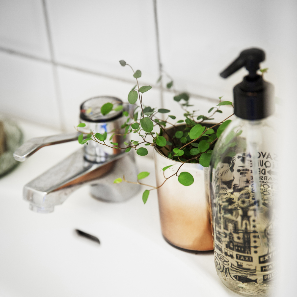 En liten kruka med en skir växt på handfatet i badrummet bredvid handtvålen. 