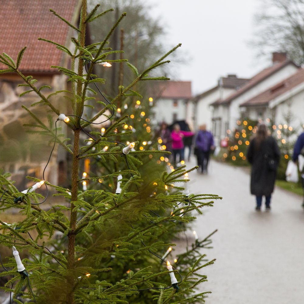 En gata kantad med hus och julgranar med belysning i där människor promenerar.
