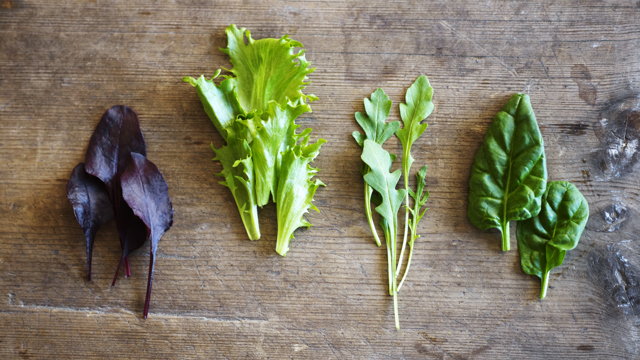 Olika salladsblad i små knippen på en träskiva